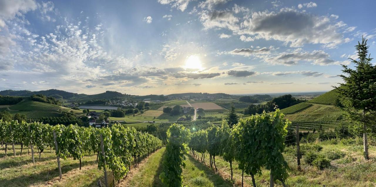 Ferienapartment Huber Oberkirch  Esterno foto